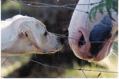 Rani de Rolande et un copain